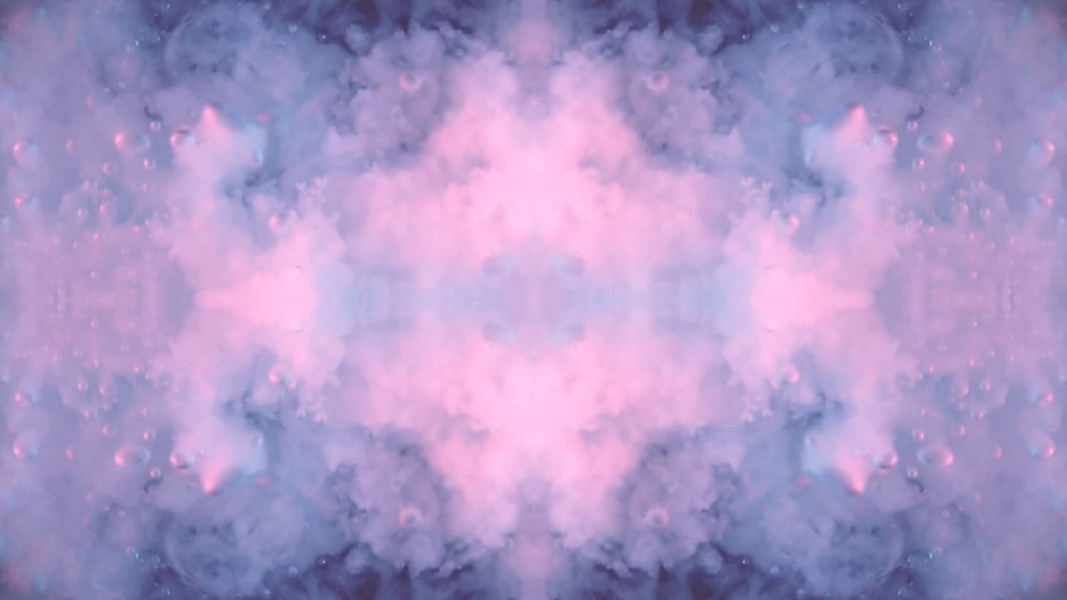 Psychologist Near Me The Indigo Project Surry Hills Sydney