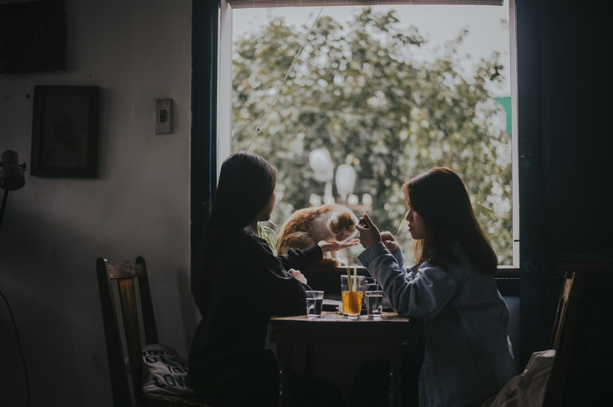 Friends having a chat